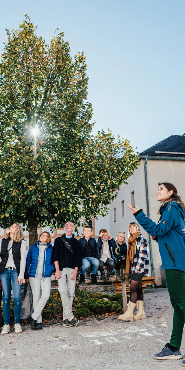 20241029_FestungHohensalzburg-Web_kathringollacknerfotografie-34.jpg