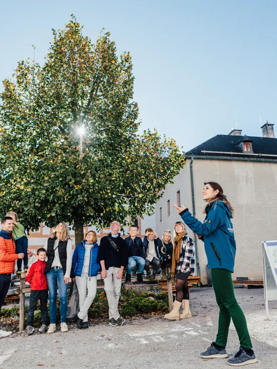 Tour guide speaking to a group of tourists under a tree in a historic European village square