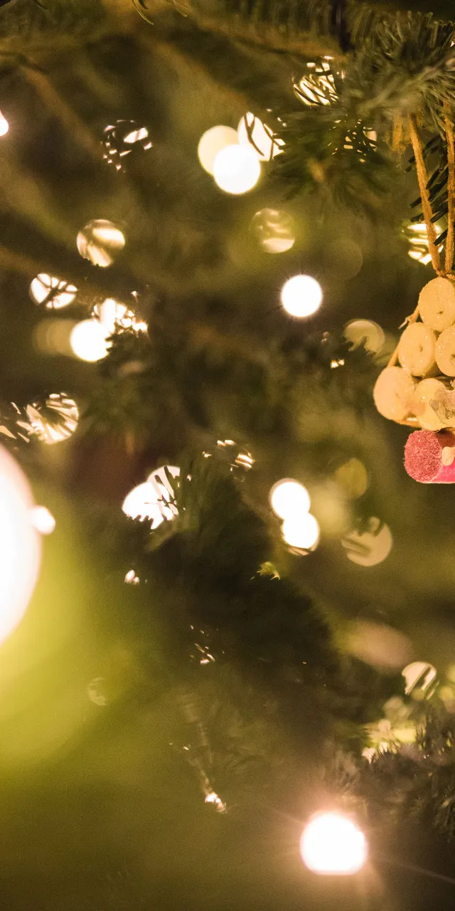 Handgemachter Weihnachtsbaumschmuck an beleuchtetem Tannenzweig mit festlichen Lichtern