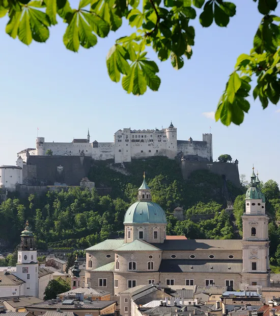 Festung Hohensalzburg über dem Salzburger Dom mit grünen Bäumen und Dächern im Vordergrund