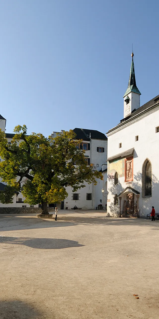 Cortile interno della Fortezza Hohensalzburg con edifici storici e grande albero sotto cielo sereno