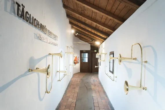 Kunstinstallation aus Messinghörnern an weißen Flurwänden in einer Museumsausstellung